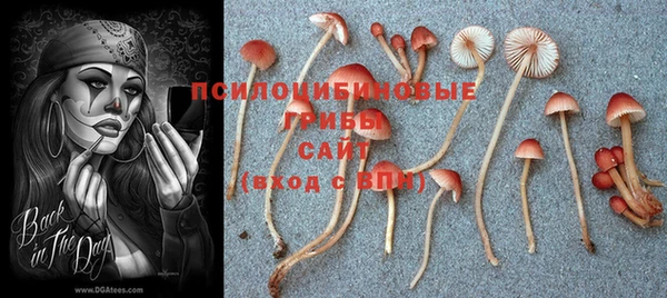 дмт Аксай