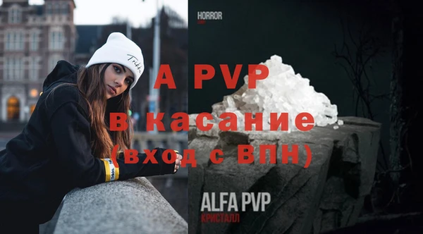 индика Надым