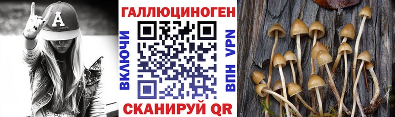 Галлюциногенные грибы Psilocybe  Поронайск 